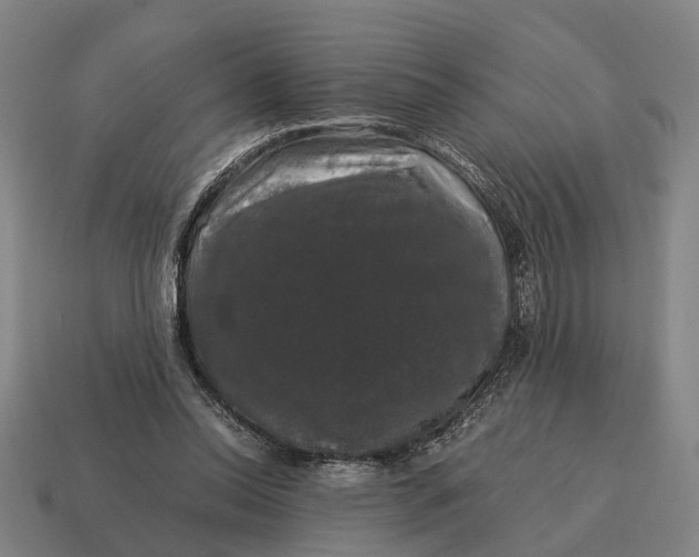 X0000115100350200911101549