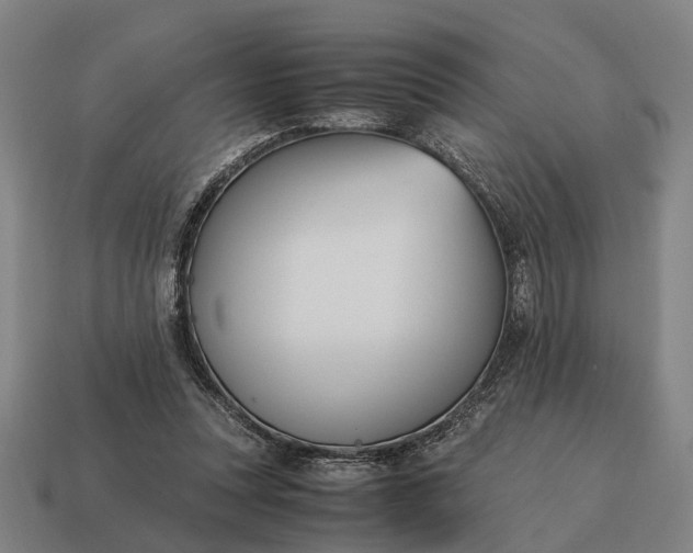 X0000115100351200911101549