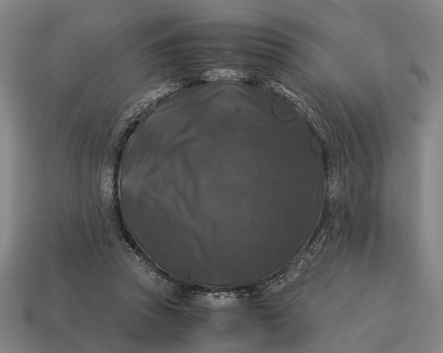 X0000115100353200911101549