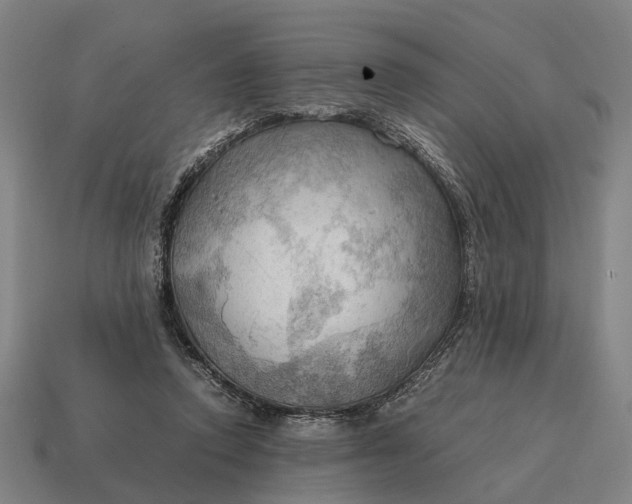X0000115100354200911101549