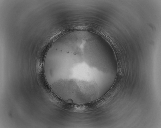 X0000115100355200911101549