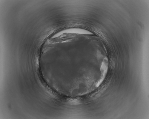 X0000115100358200911101549
