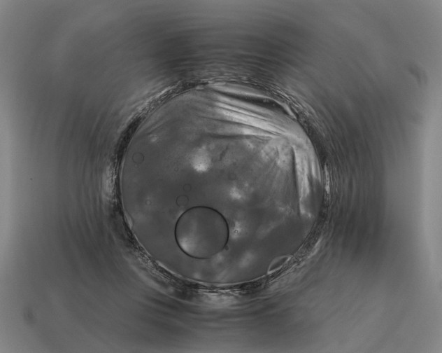 X0000115100359200911101549