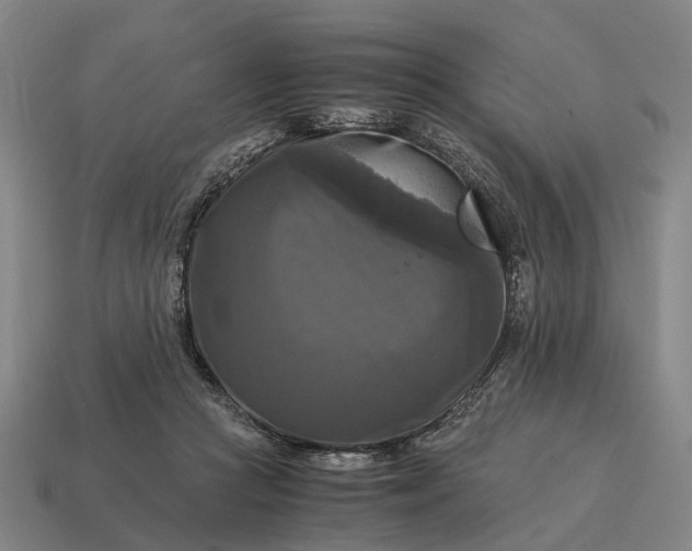 X0000115100361200911101549