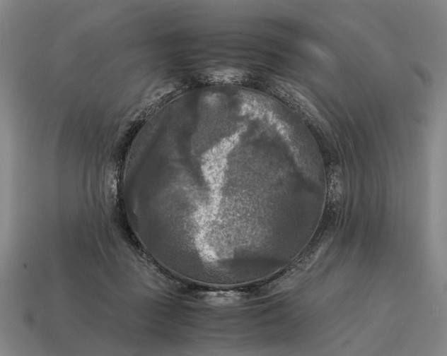 X0000115100363200911101549