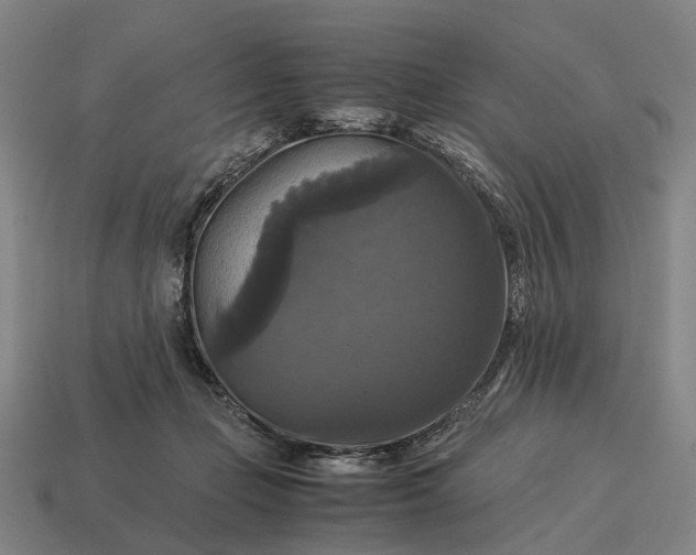 X0000115100365200911101549