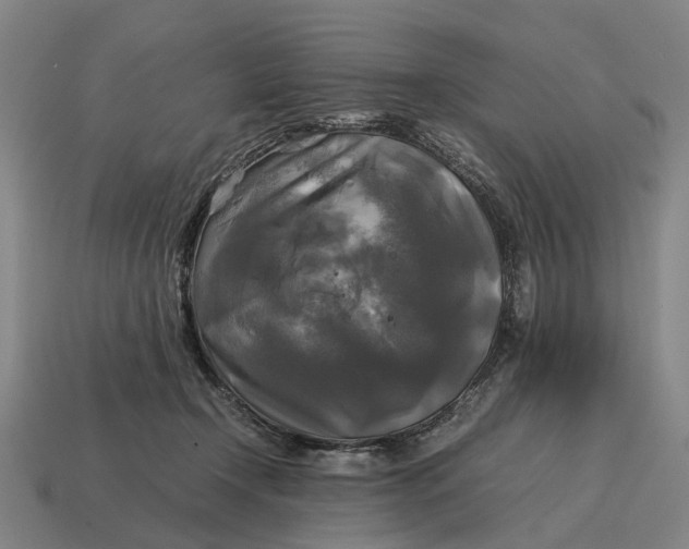 X0000115100366200911101549