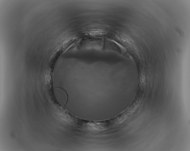 X0000115100367200911101549