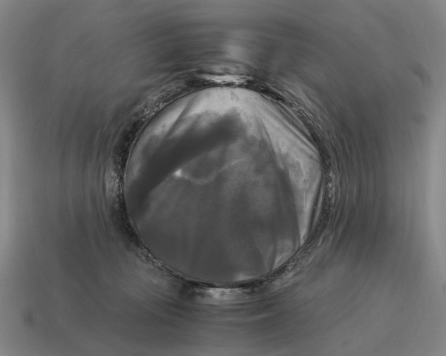 X0000115100371200911101549