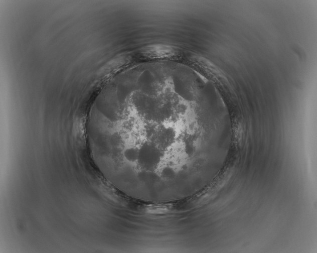 X0000115100373200911101549
