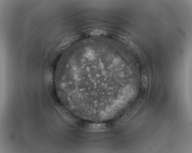 X0000115100375200911101549