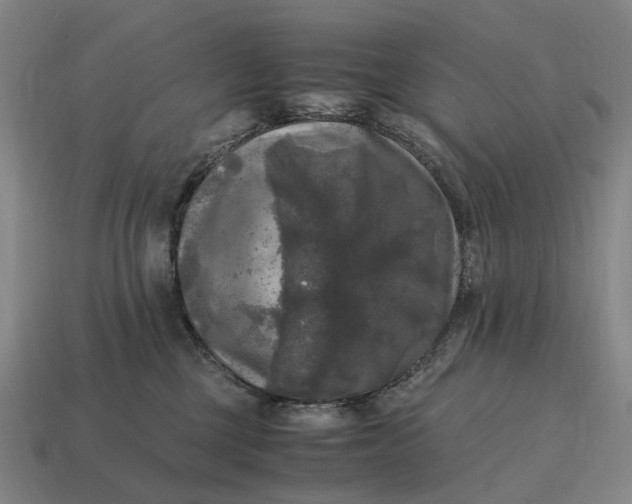 X0000115100377200911101549