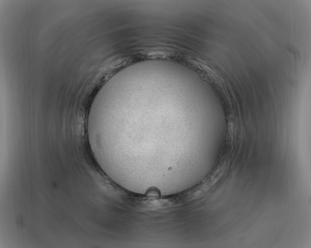 X0000115100379200911101550