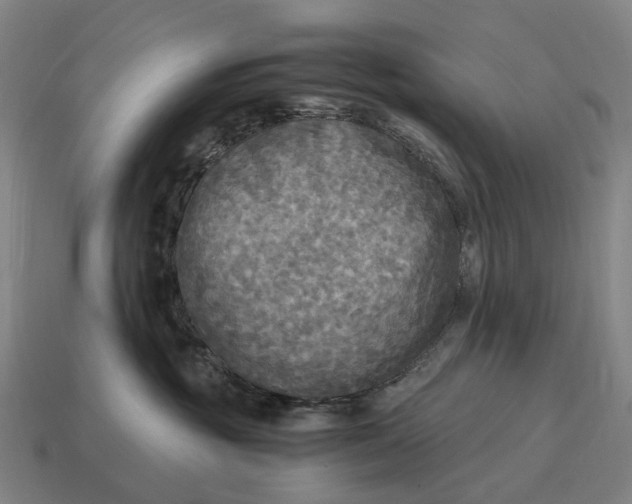 X0000115100381200911101550
