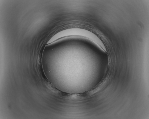 X0000115100382200911101550