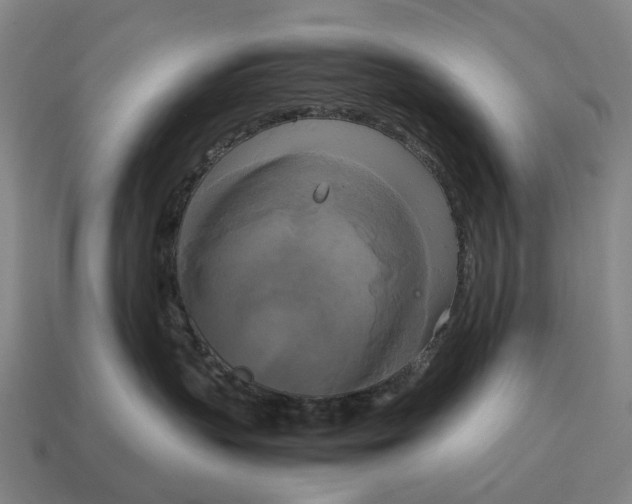 X0000115100383200911101550