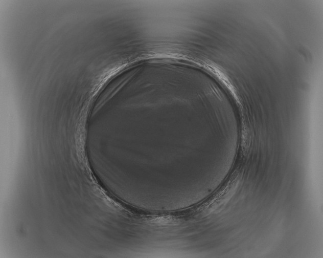 X0000115100385200911101549