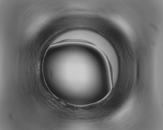 X0000115100387200911101549