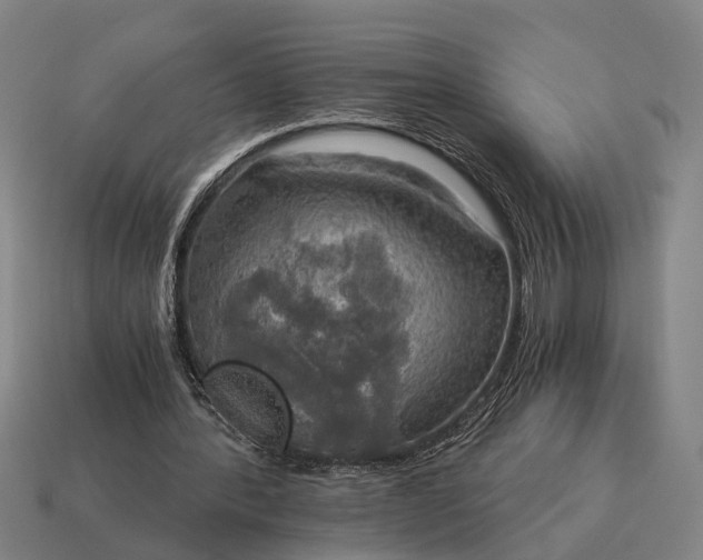 X0000115100388200911101549