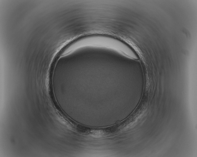 X0000115100391200911101549