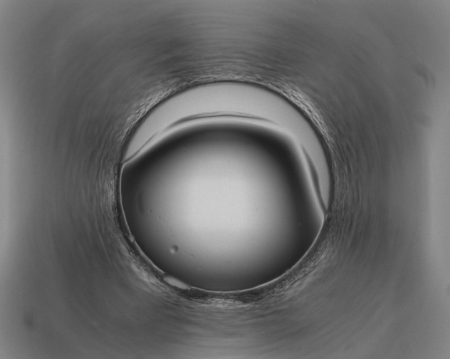 X0000115100393200911101549