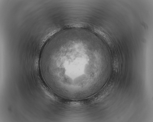 X0000115100394200911101549