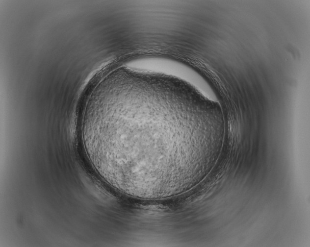 X0000115100396200911101549