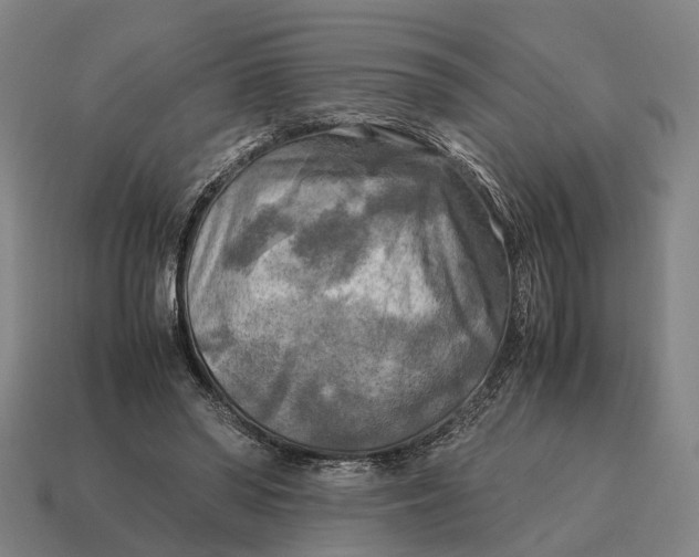 X0000115100398200911101548