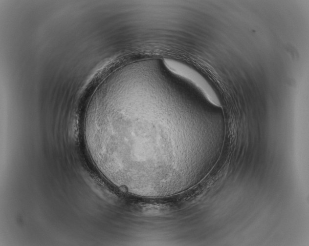X0000115100400200911101548