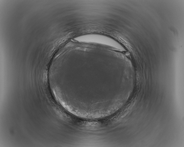 X0000115100401200911101548