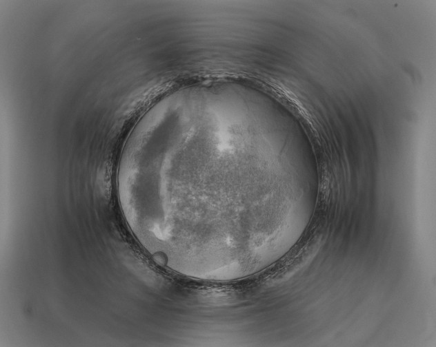 X0000115100402200911101548