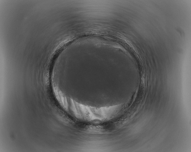 X0000115100403200911101548
