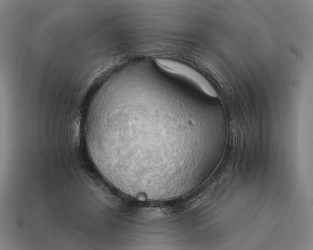 X0000115100404200911101548