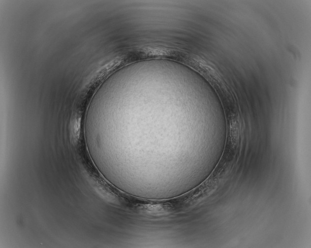 X0000115100406200911101548
