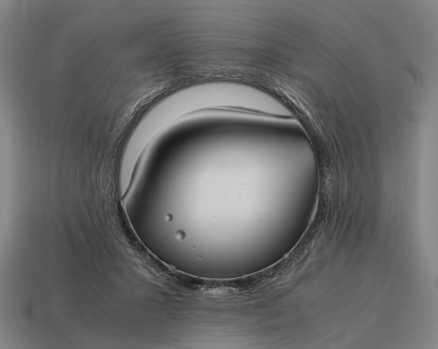 X0000115100407200911101548