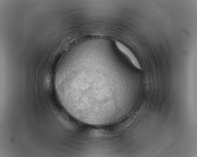 X0000115100408200911101548