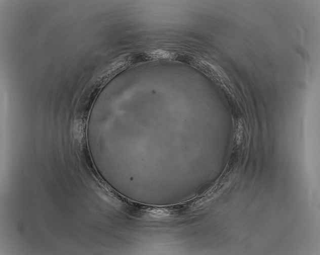 X0000115100409200911101548