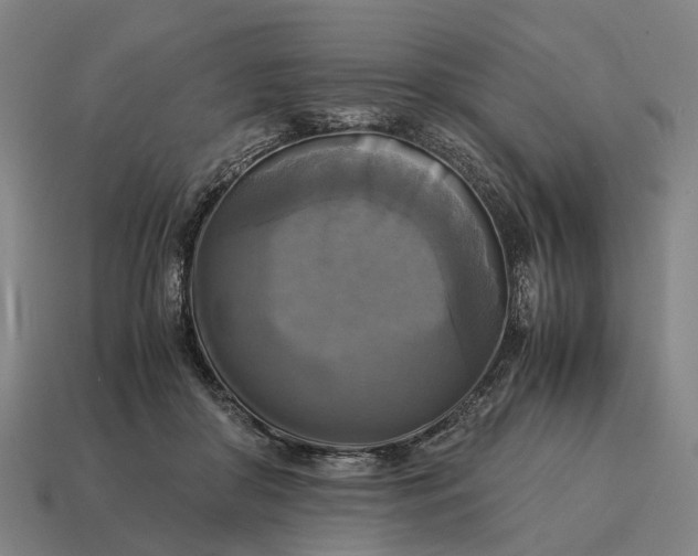 X0000115100410200911101548