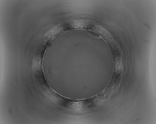X0000115100411200911101548