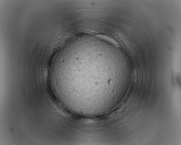 X0000115100412200911101548