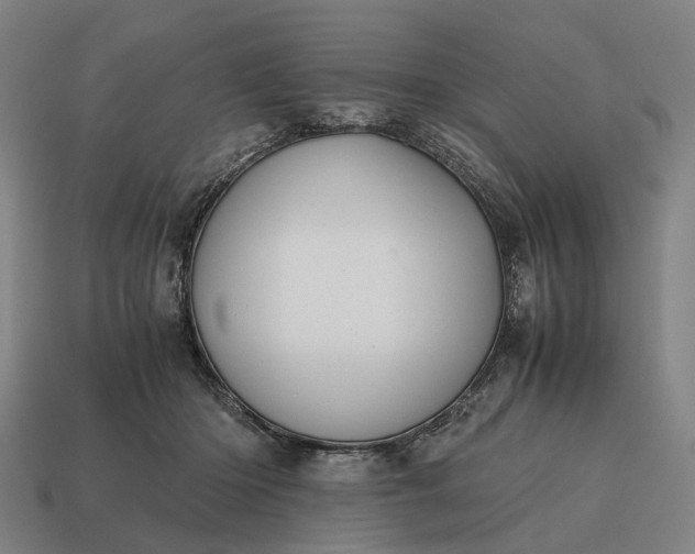 X0000115100414200911101548