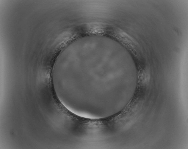 X0000115100415200911101548