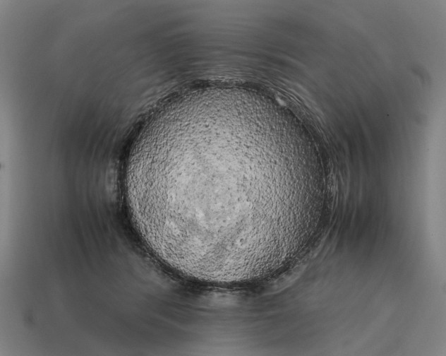 X0000115100416200911101548
