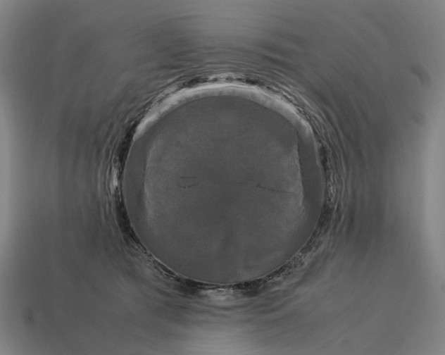 X0000115100417200911101548