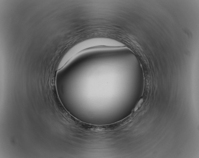 X0000115100419200911101548