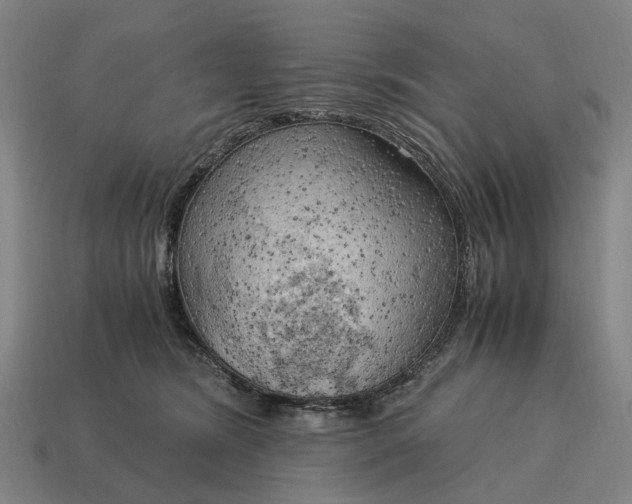 X0000115100420200911101548