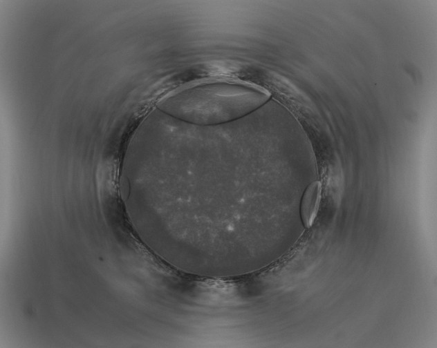 X0000115100421200911101548