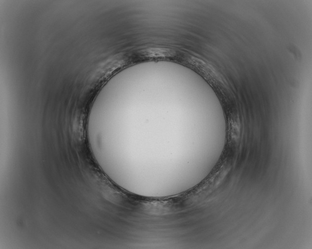 X0000115100422200911101548