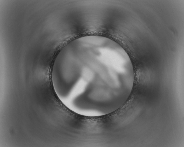 X0000115100423200911101548