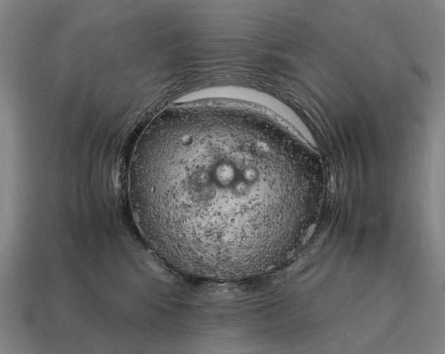 X0000115100424200911101548